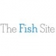 The Fish Site