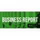 BUSINESS REPORT