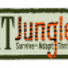 itjungle