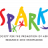 Spark Newsletter