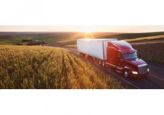 Supply Chain