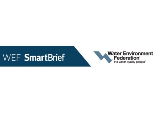 WEF SmartBrief