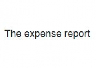 The Expense Report