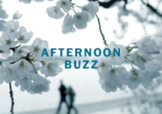 Afternoon Buzz