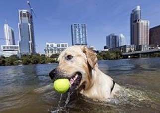 Austin American Statesman Afternoon Update