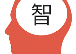 ChinAI Newsletter