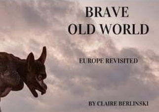 claireberlinski