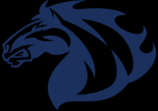 Colts Wire