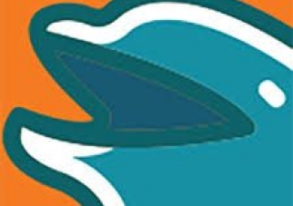 Dolphins Wire