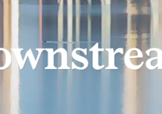 Downstream Insights