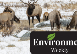 ENVIRONMENT WEEKLY