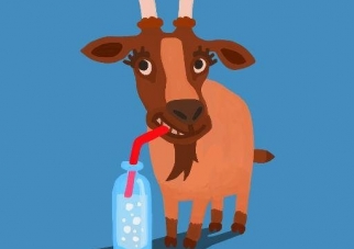 Goats and Soda