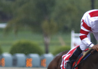 Horse Racing!