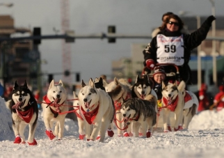 Iditarod