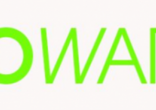 Infowarzel