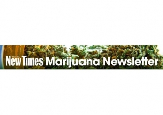 Marijuana Newsletter