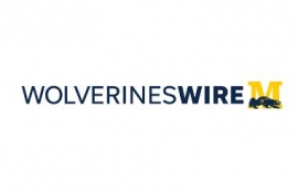 Wolverines Wire