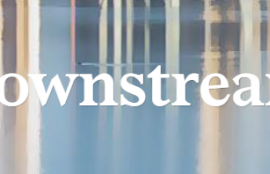 Downstream Insights