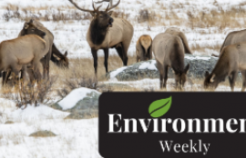 ENVIRONMENT WEEKLY