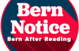 Bern Notice