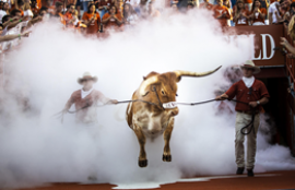 HOOKEM.COM EXPRESS EDITION