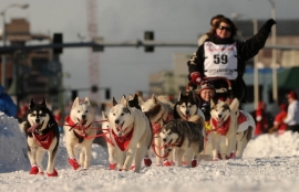 Iditarod