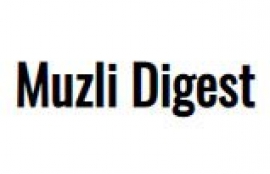 Muzli Digest