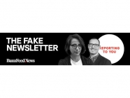 The Fake Newsletter