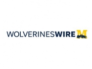 Wolverines Wire