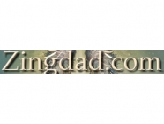 zingdad.com