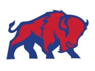 Bills Wire