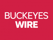 Buckeyes Wire