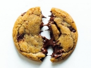 BuzzFeed's Best Chocolate Chip Cookie Guide