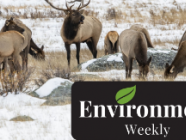 ENVIRONMENT WEEKLY