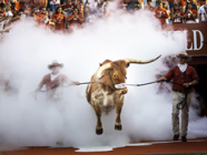 HOOKEM.COM EXPRESS EDITION