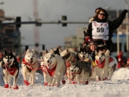 Iditarod