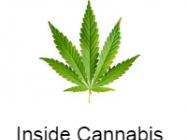 Inside Cannabis