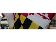 Maryland Policy & Politics